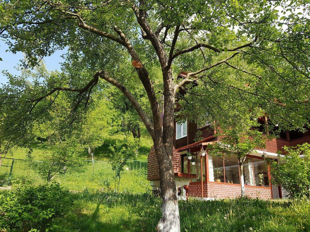 Vila Casa Colt De Rai Brezoi Exteriér fotografie