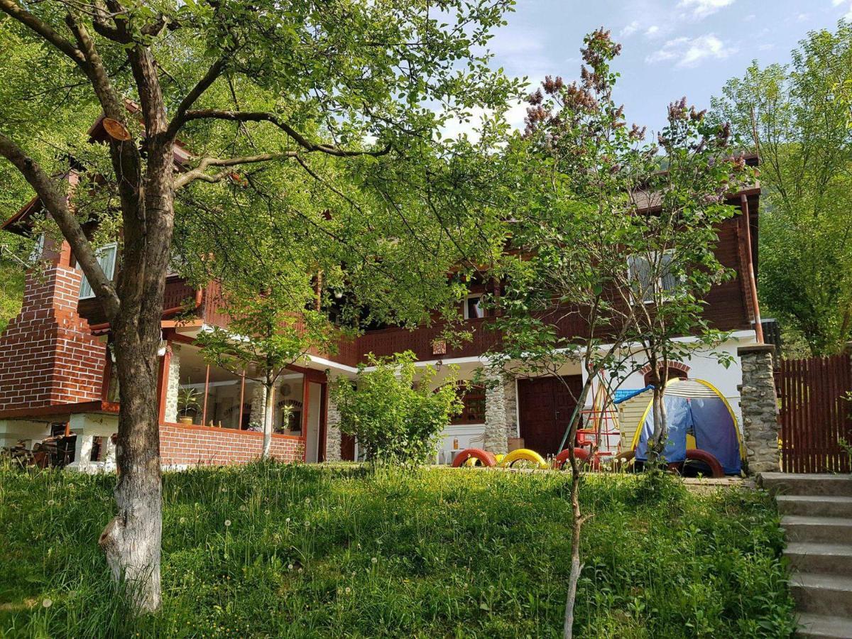 Vila Casa Colt De Rai Brezoi Exteriér fotografie